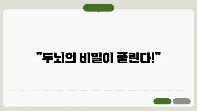 인간 두뇌의 비밀: 신경과학의 발전
