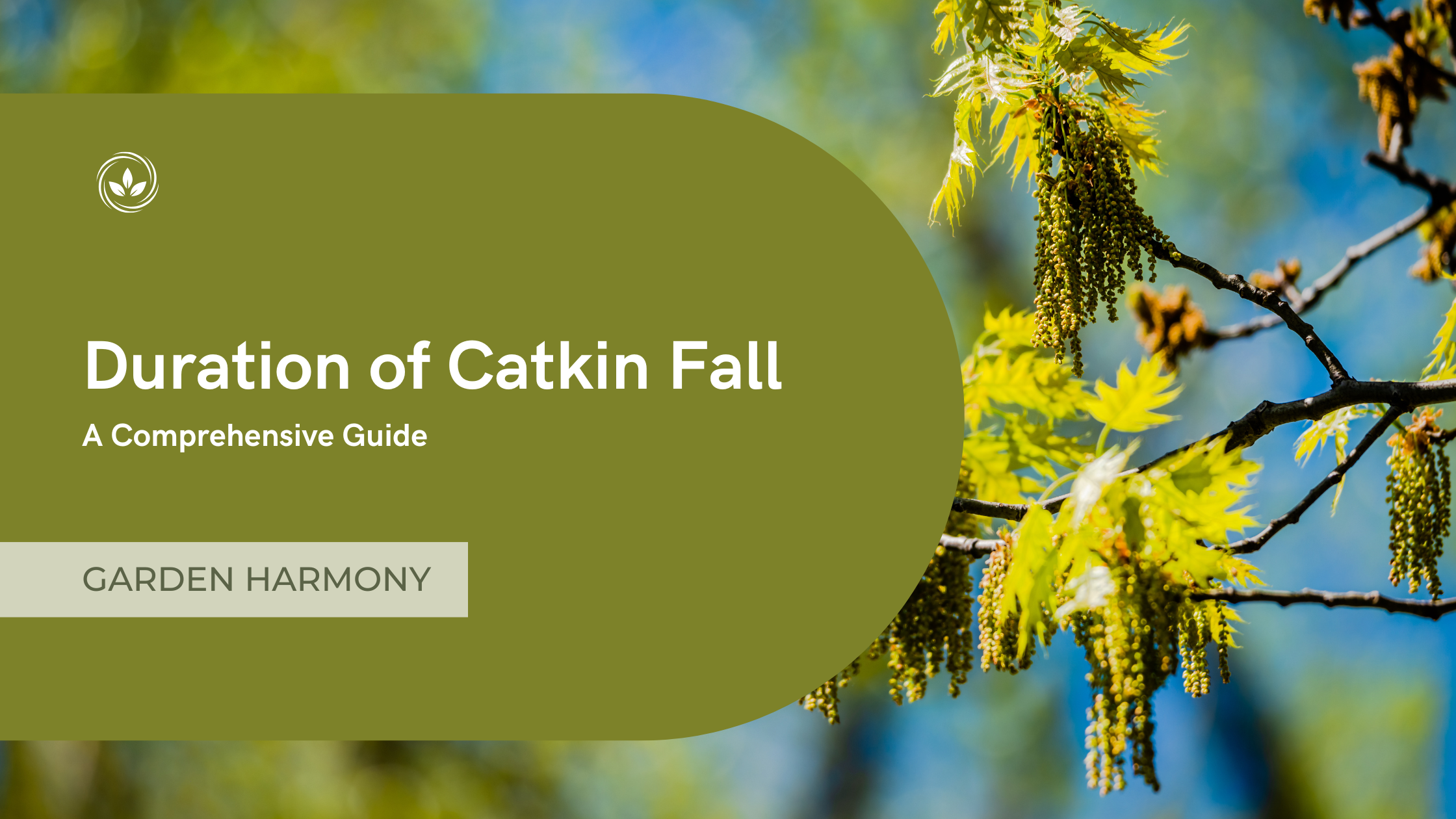 Duration of Catkin Fall