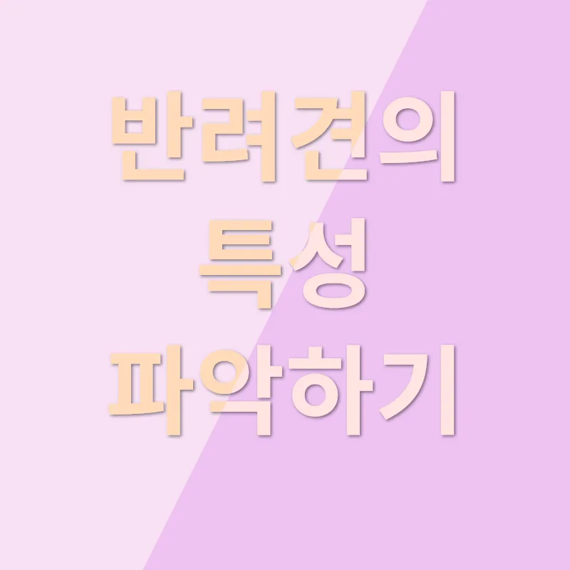 반려견 입양 고려사항_1