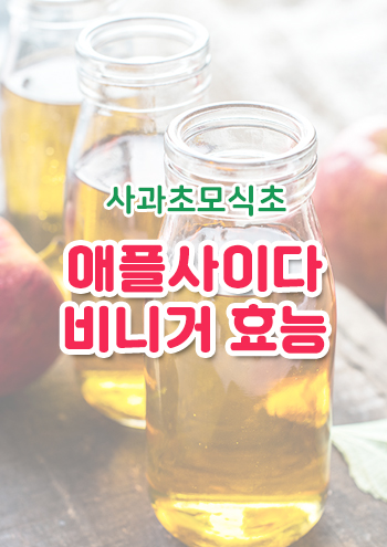 애플사이다비니거 사과초모식초 효능 썸네일