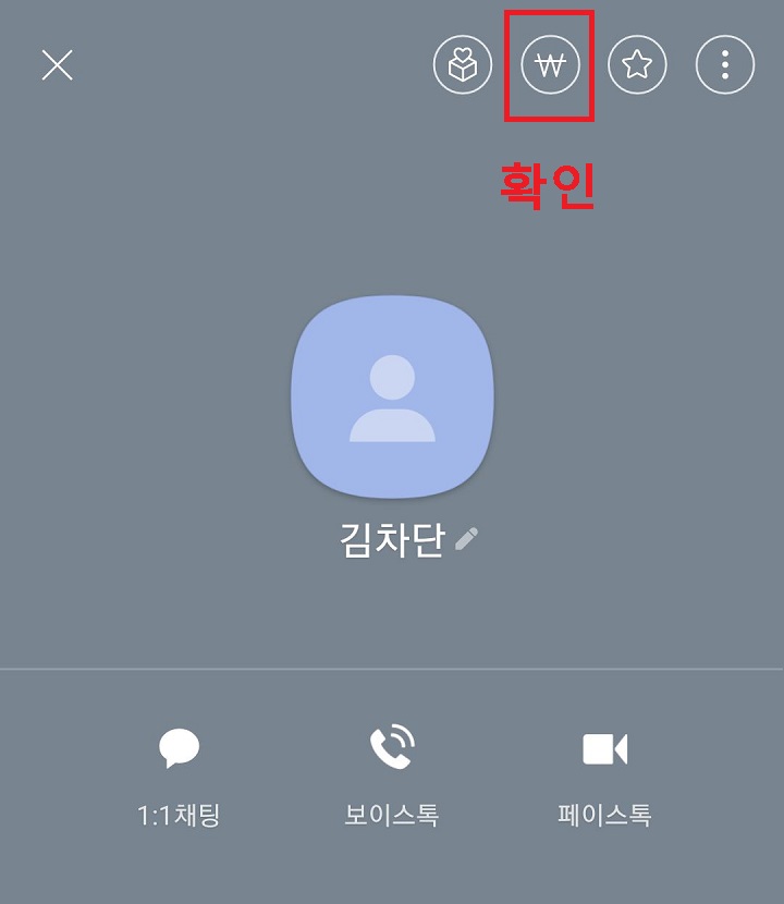 카카오페이 송금 버튼 보임