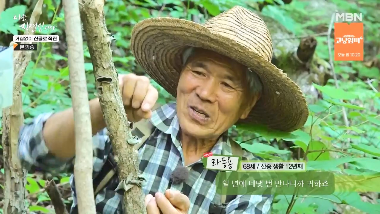 나는 자연인이다.E564.230727p-NEXT.mp4_20230727_211929.109.jpg
