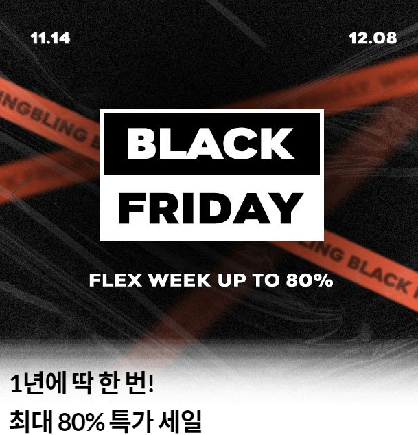 블랙프라이데이 세일기간