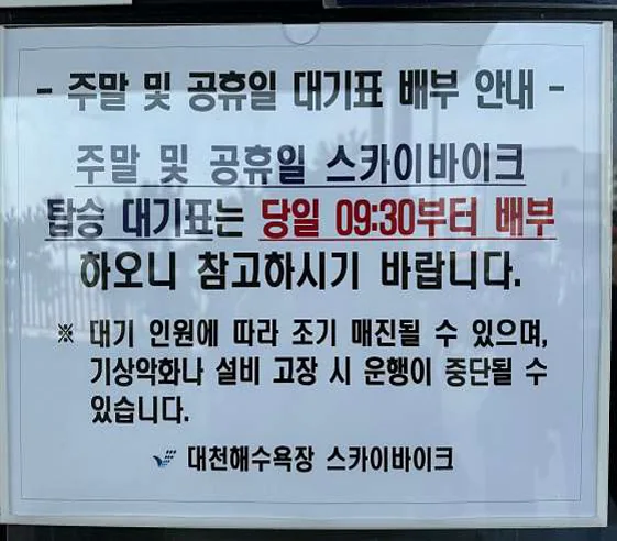 대천해수욕장 스카이바이크