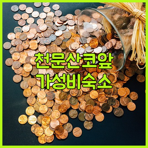천문산 케이블카 탑승장 코앞! 스광유