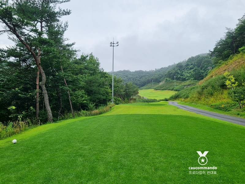 연예인 골프 순위 연예인들이 참여하는 19