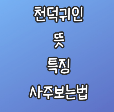 천덕귀인-뜻-특징-사주보는법