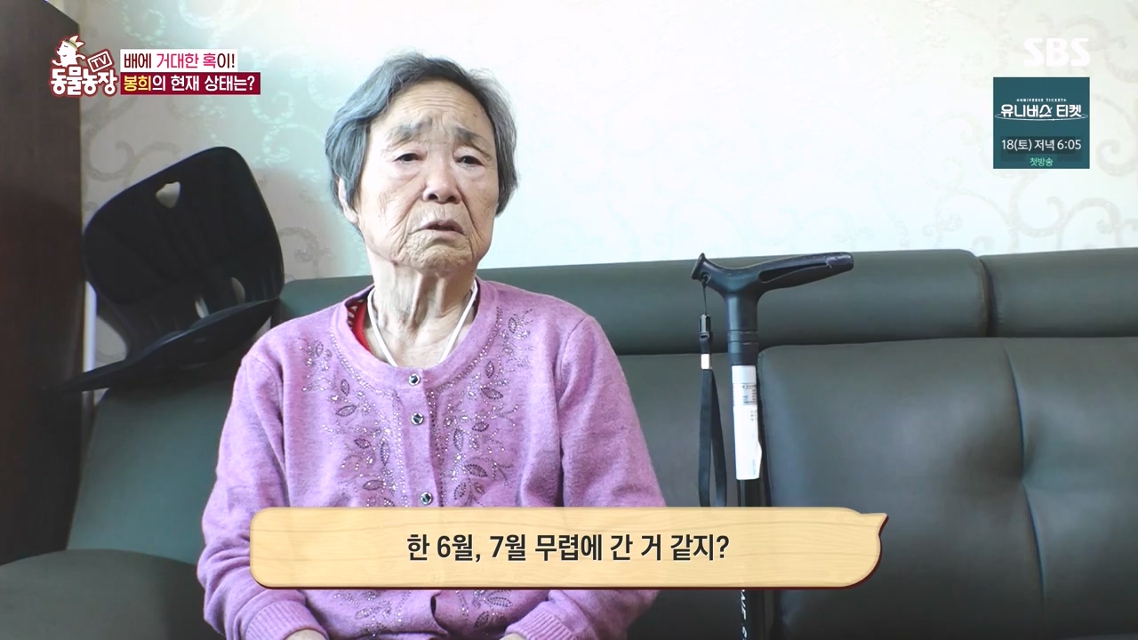 TV 동물농장.E1145.231113p-NEXT.mp4_20231112_173445.024.jpg