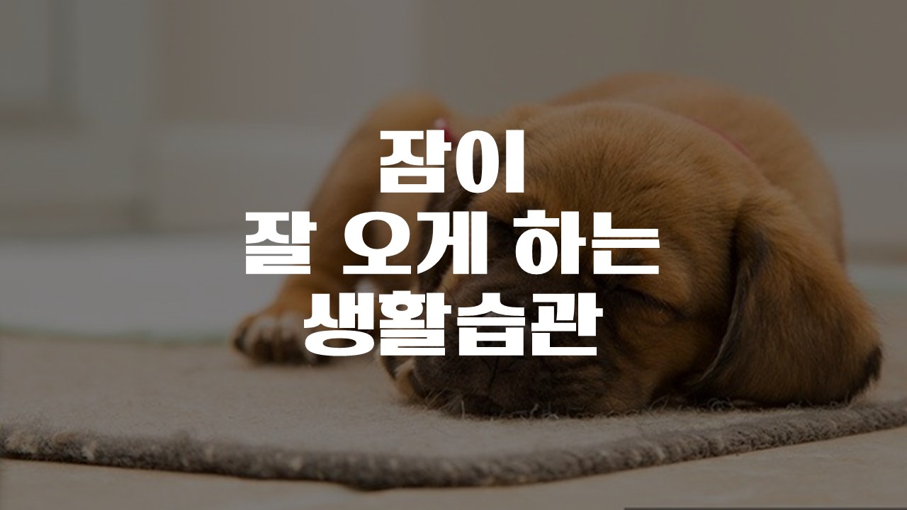  잠이 잘오게하는 생활습관 (수면장애 개선법)