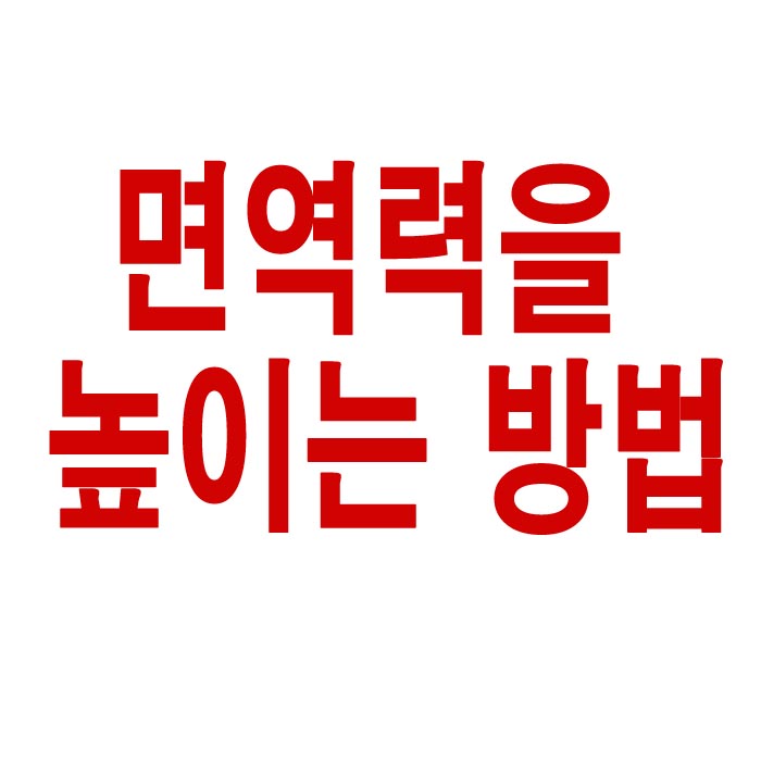  면역력을 높이는 방법
