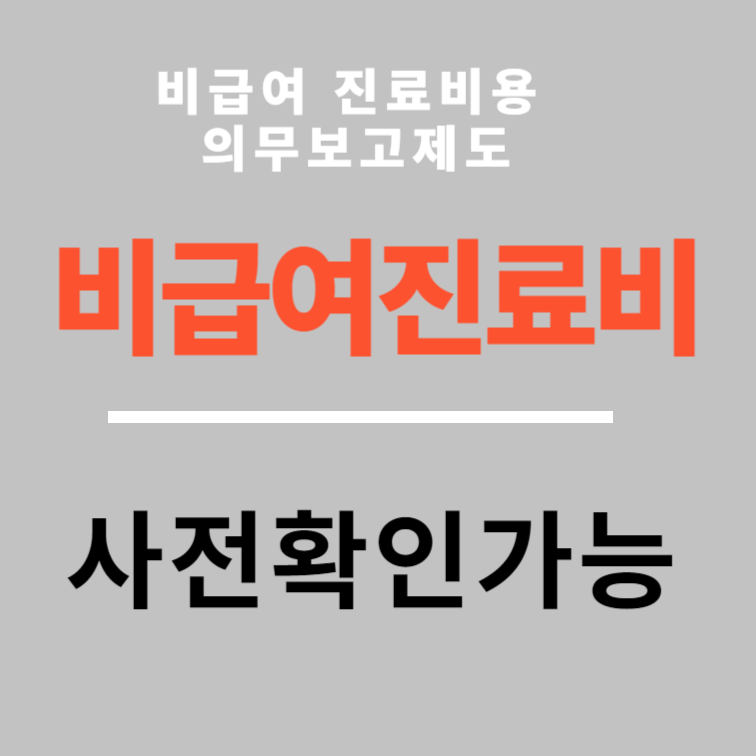 비급여치료비 간단 확인 비교