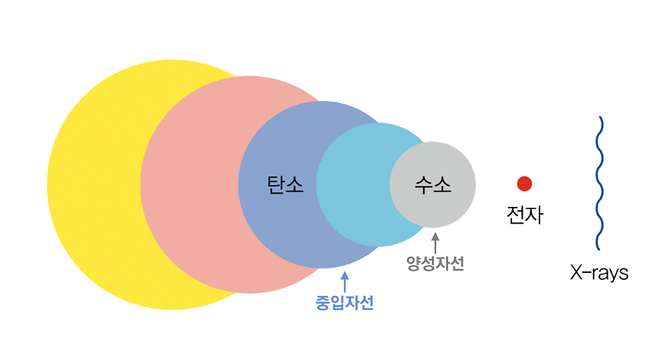  중입자치료/암치료-한눈에 확인하기(연세의료원,세브란스병원)