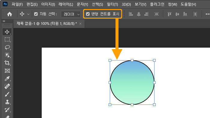 변형 컨트롤 옵션