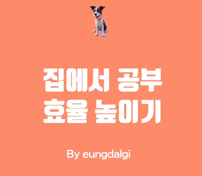  집에서 공부 효율 높이기