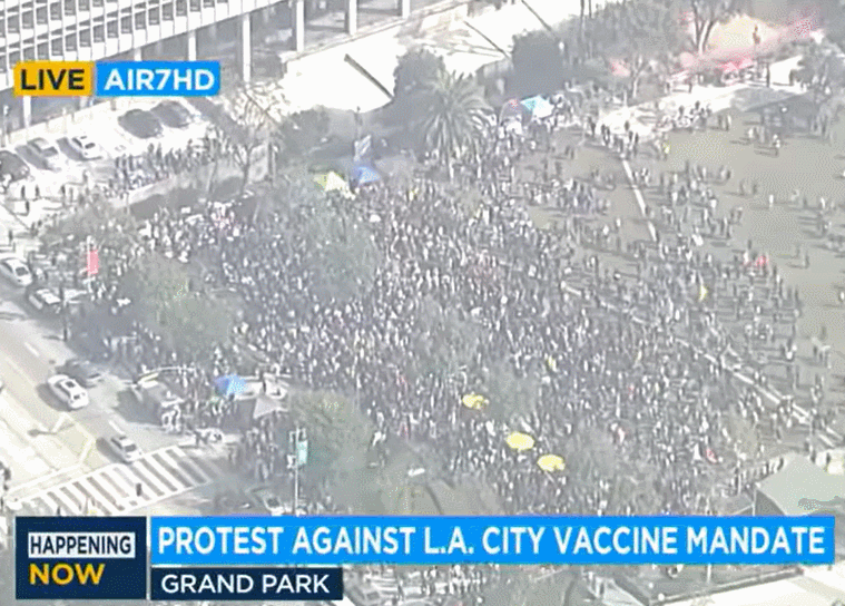  점점 거세지는 세계 백신 접종 반대 시위... "강행하면 정권 무너진다"  VIDEO: Thousands of anti-vaccine protesters gather at Sydney CBD | Coronavirus