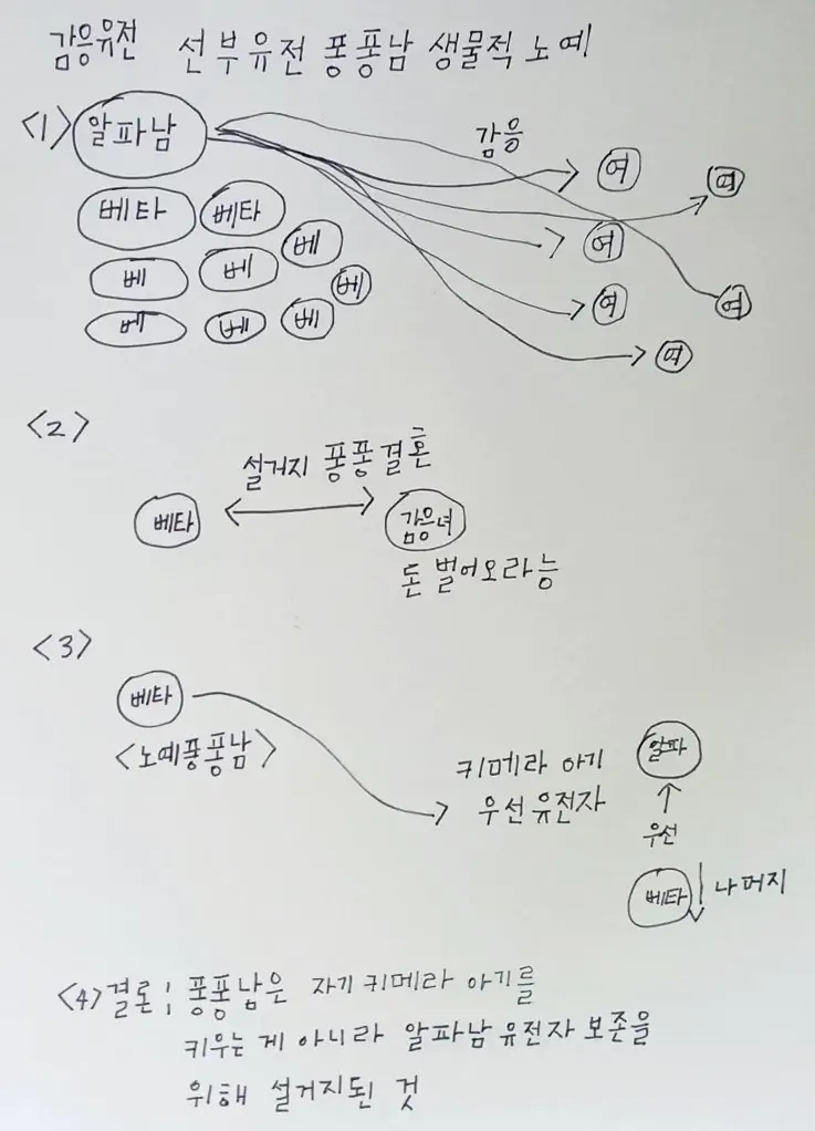 감응유전 선부유전