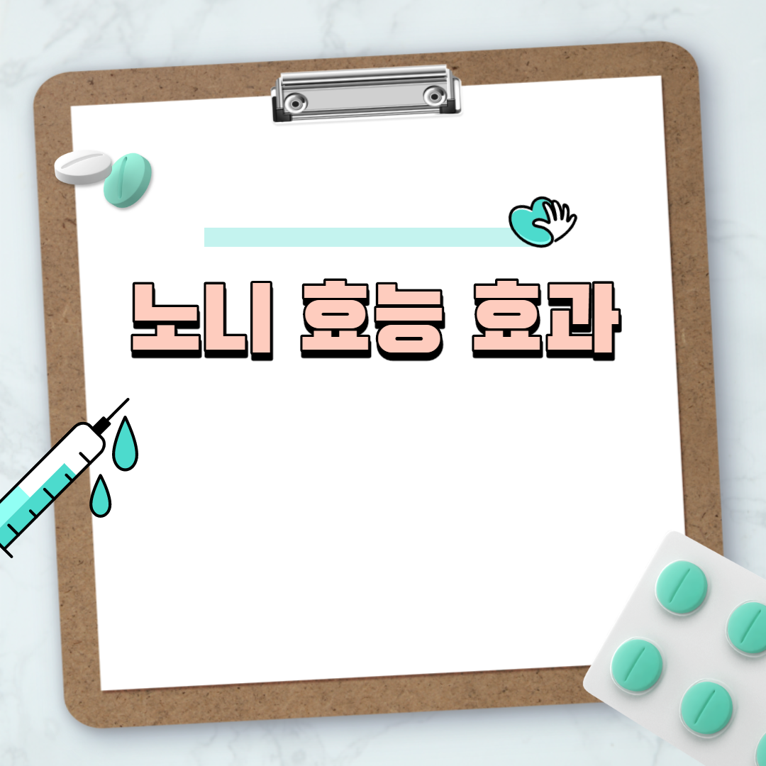  노니 효능, 주스, 비누, 쥬스, 원액, 과립 및 발효액