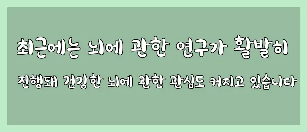  최근에는 뇌에 관한 연구가 활발히 진행돼 건강한 뇌에 관한 관심도 커지고 있습니다