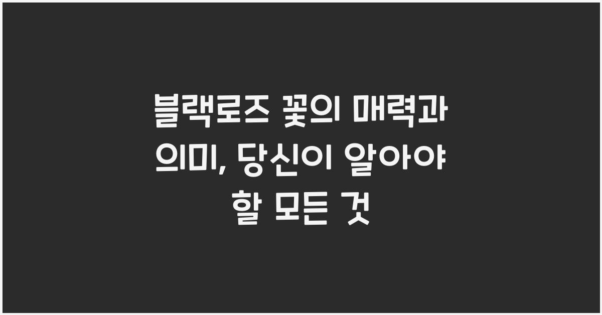 블랙로즈 꽃의 매력과 의미