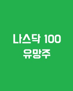 나스닥 100 종목 중 유망주에 관한 이미지 입니다.