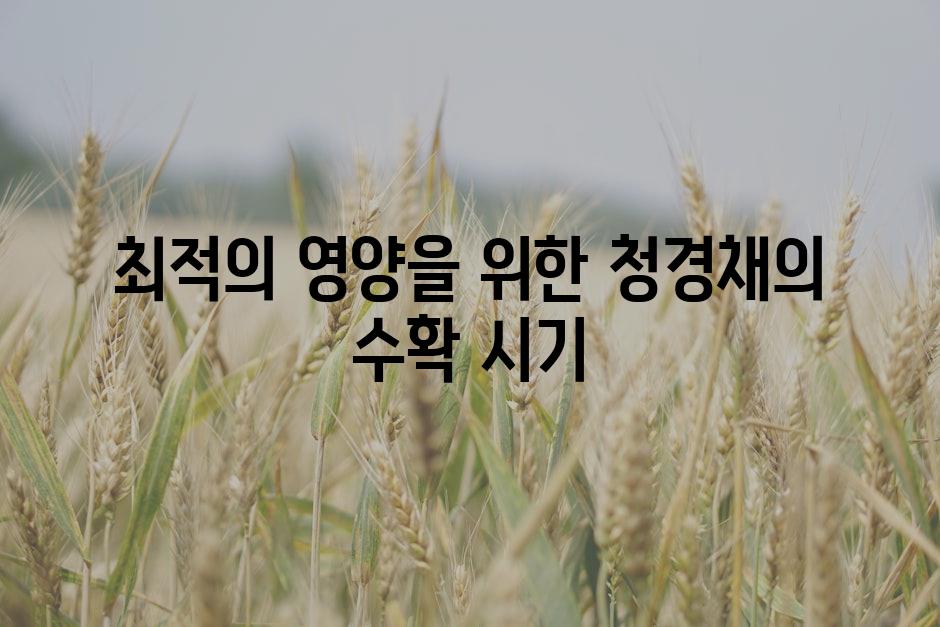 최적의 영양을 위한 청경채의 수확 시기