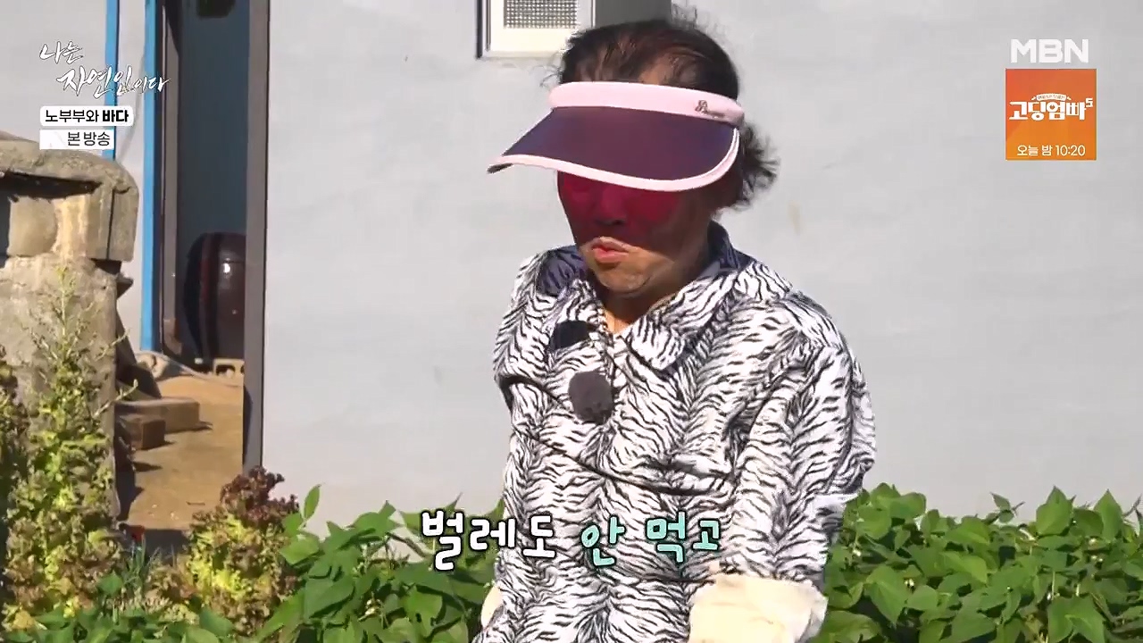 나는 자연인이다.E610.240620p-NEXT.mp4_20240620_193552.206.jpg