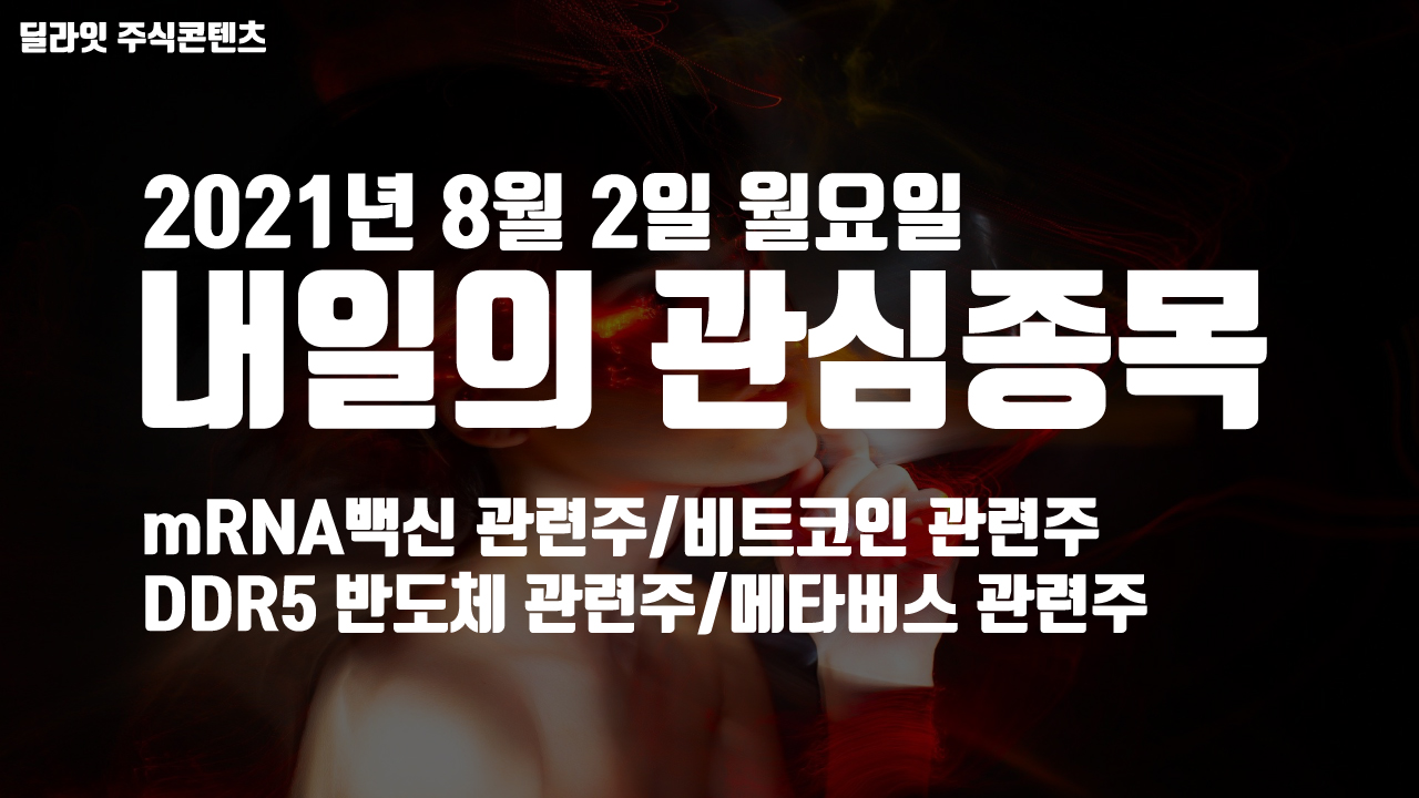  메타버스 관련주 - 2021년 8월 2일 내일의 관심종목