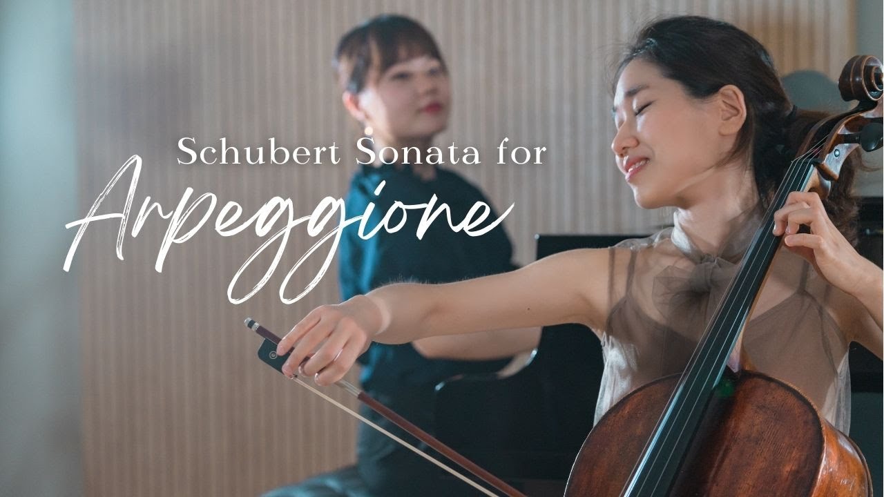 원민지 첼리스트