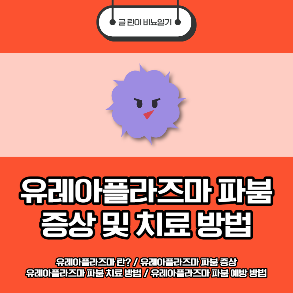 유레아플라즈마 파붐 증상
유레아플라즈마 파붐 치료 방법