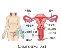 자궁경부암&amp;#44; 자궁경부암 증상&amp;#44; 자궁경부암 예방접종&amp;#44; 자궁경부암 예방접종 무료대상&amp;#44; 자궁경부암 검사&amp;#44; 자궁경부암 원인&amp;#44; 자궁경부암 검사방법&amp;#44; 자궁경부암 예방접종 가격&amp;#44; 자궁경부암 검사 성경험 없는 사람&amp;#44; 자궁경부암 검사비용&amp;#44; 가다실 9가&amp;#44; 서바릭스&amp;#44; 가다실 4가