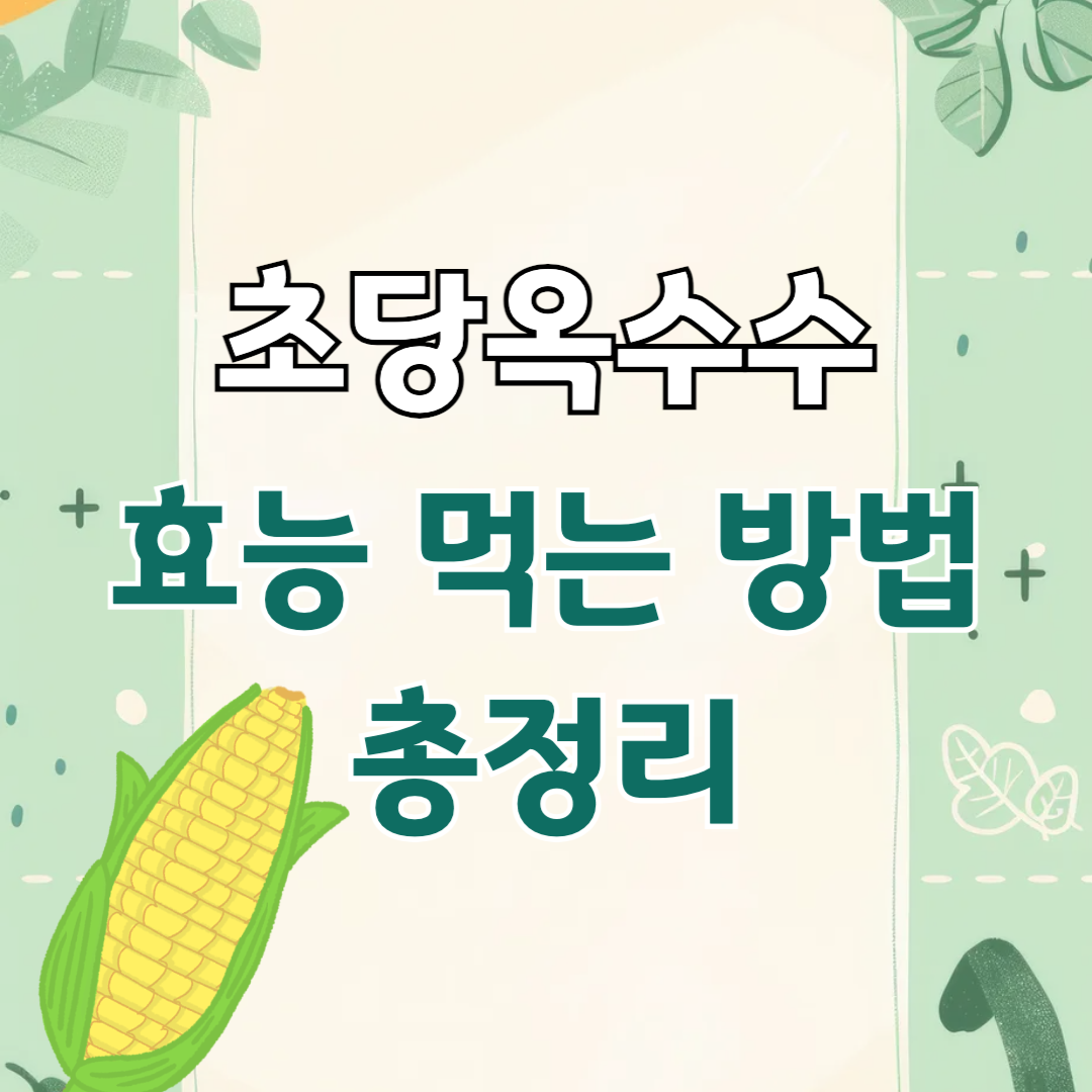 초당옥수 효능
