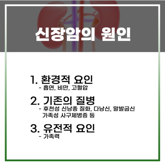 신장암의 원인