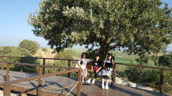 7일차 1편 :: 트로이 목마&트로이 유적지, 고등어케밥 2019. 8. 15. 댜든이의 터키 가족여행 25