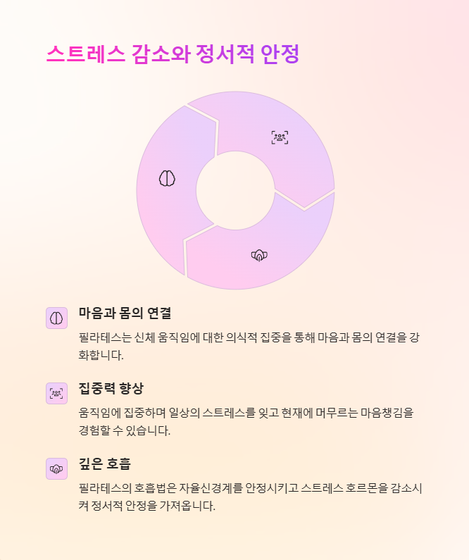 통증이 사라지고 체형이 달라진다! 필라테스의 숨겨진 중년 건강 효과 - 필라테스로 중년의 통증은 줄이고 건강은 올려보세요 - 모든 영역 통증이 사라지고 체형이 달라진다! 필라테스의 숨겨진 중년 건강 효과 - 필라테스로 중년의 통증은 줄이고 건강은 올려보세요 - 모든 영역