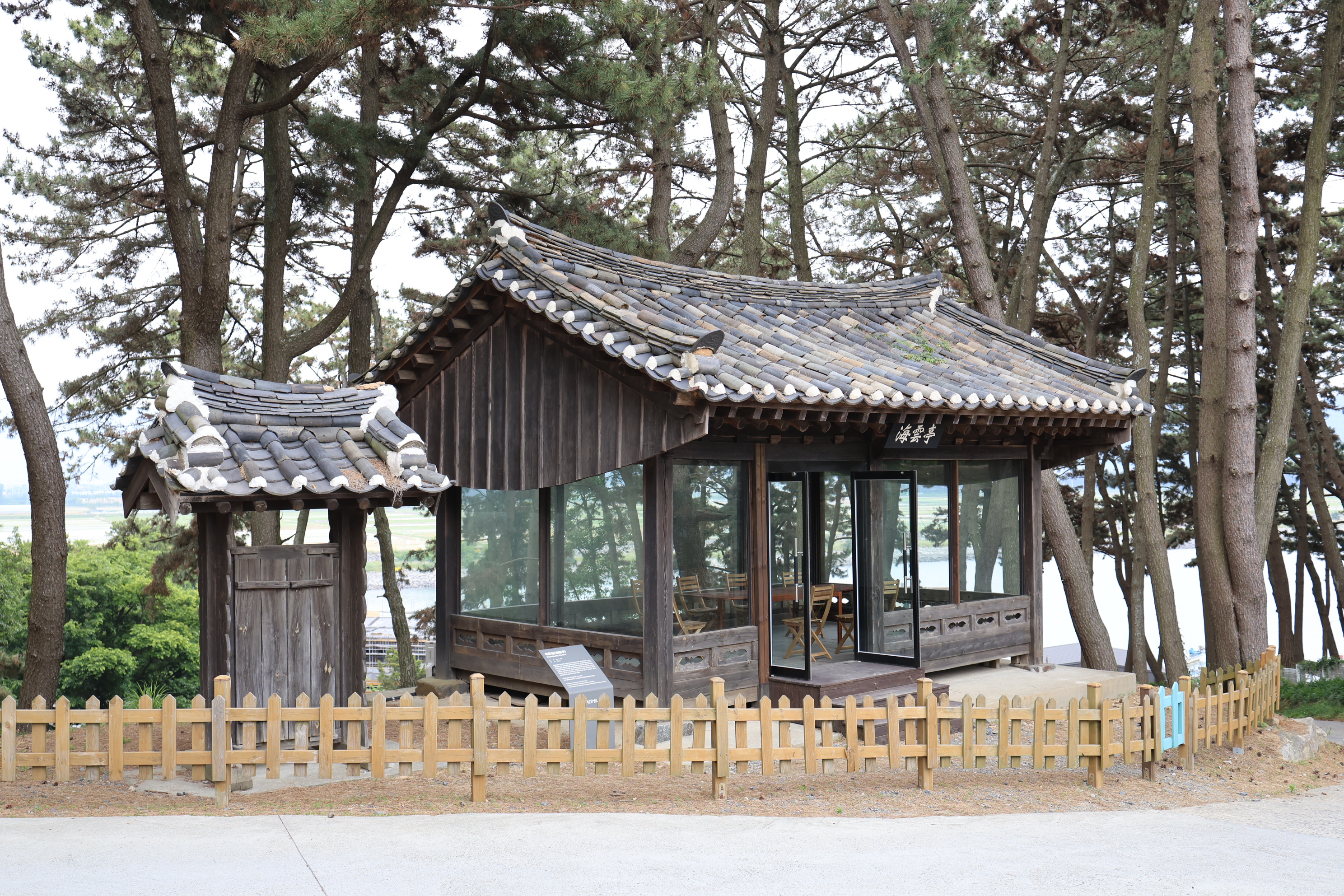 IMGS0229.JPG