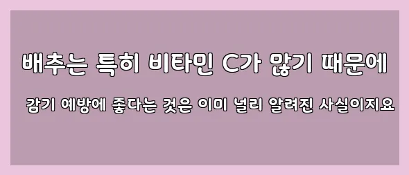  배추는 특히 비타민 C가 많기 때문에 감기 예방에 좋다는 것은 이미 널리 알려진 사실이지요