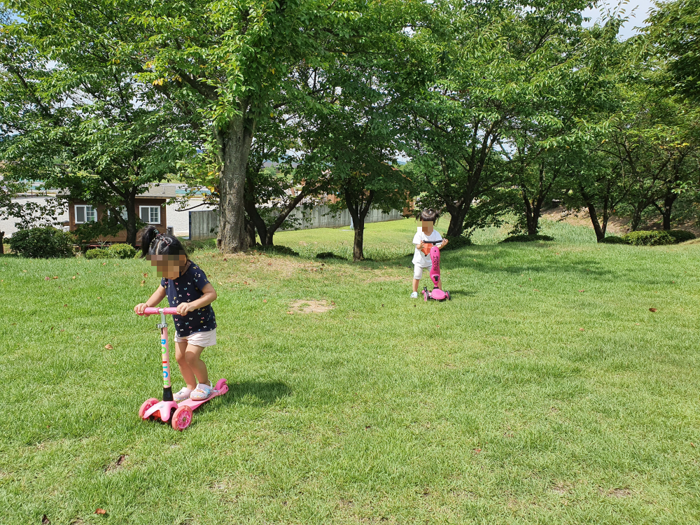 시흥갯골생태공원 잔디밭