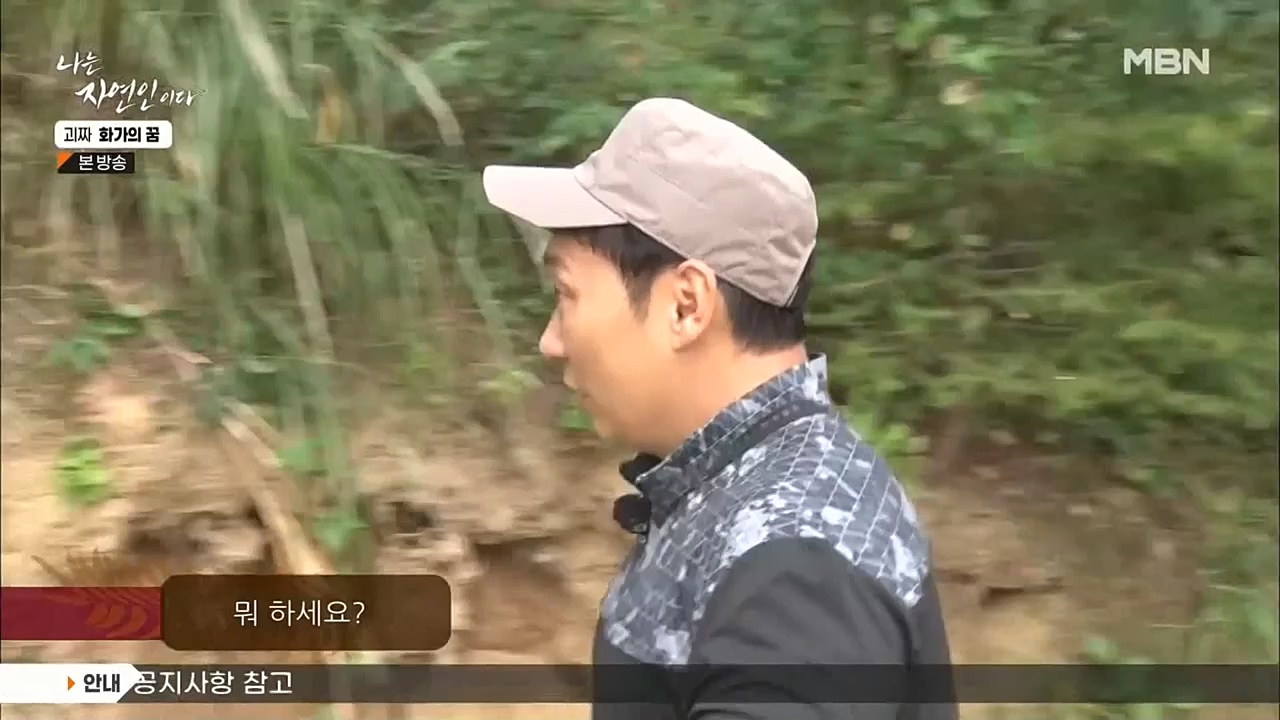 나는 자연인이다.E524.221019.H265p-BULDU.mp4_20221020_174025.007.jpg