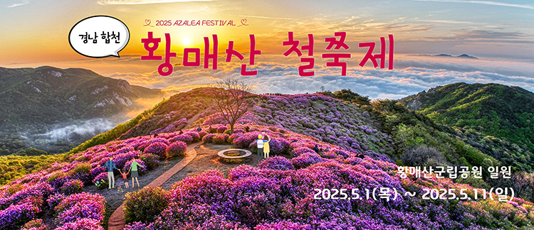 2025 황매산 철쭉제 개막! 진분홍빛 봄 절경, 5월 1일~11일 대개방 관련 사진