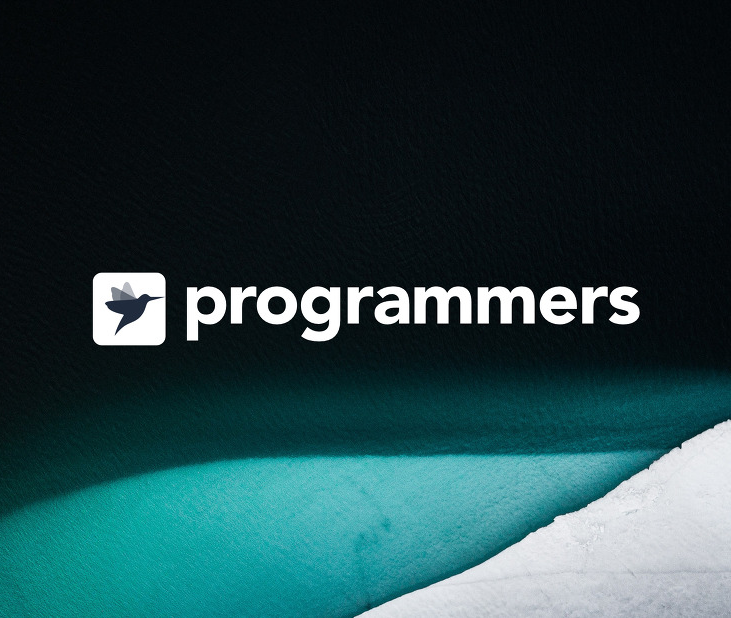 programmers logo