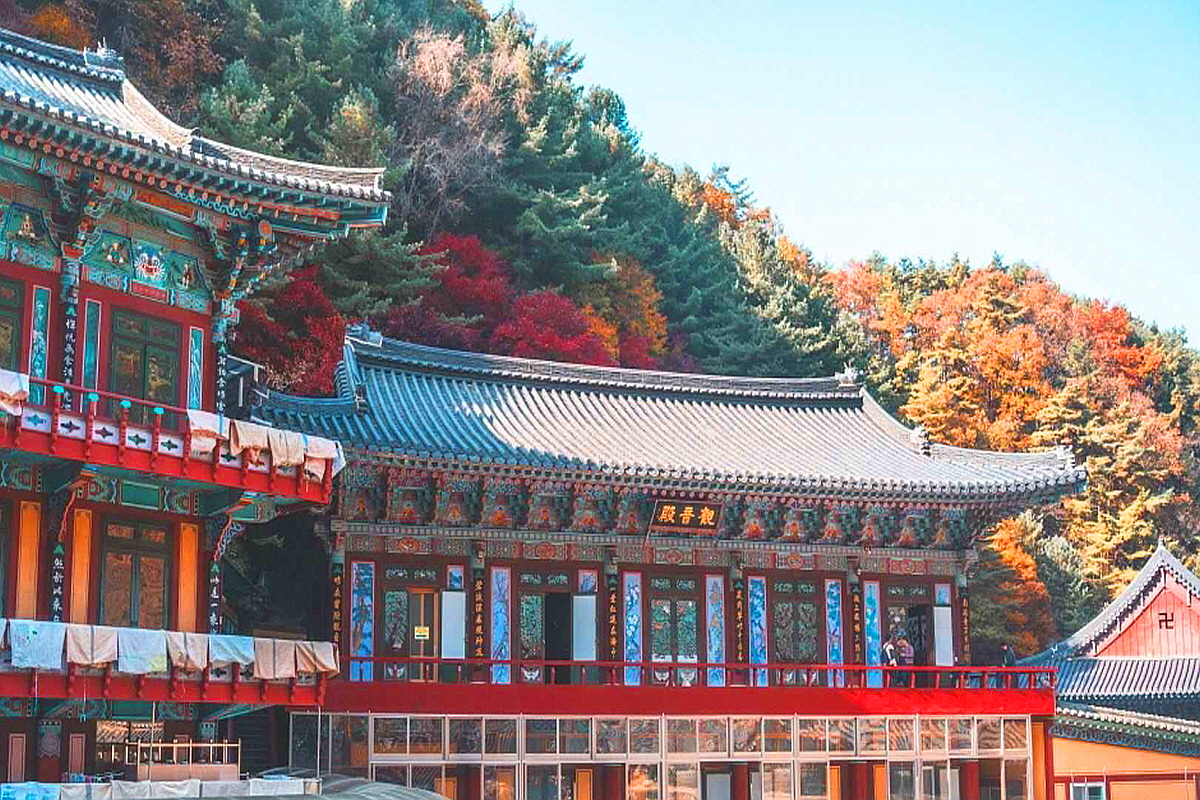 단양 구인사