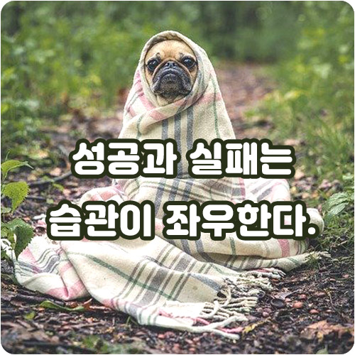  smarti,스마트아이