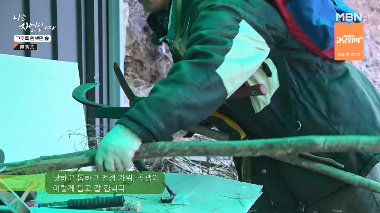 나는 자연인이다.E591.240132p-NEXT.mp4_20240201_195746.088.jpg