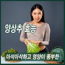 【양상추】의 풍부한 영양 성분과 건강에 미치는 다양한 효능