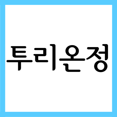  알러지약 투리온정, 효능과 주의사항 자세히 알아보기
