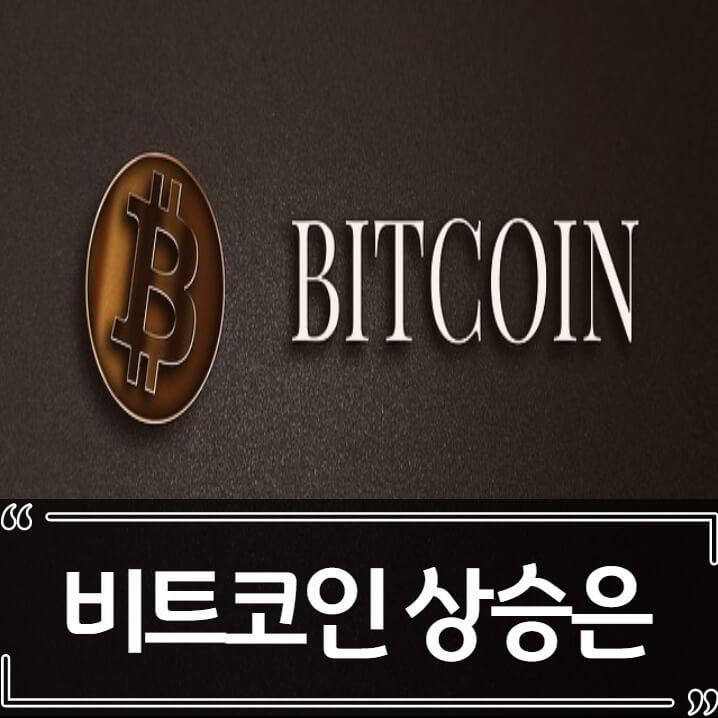  2022년 비트코인 시세 전망 - 폭락속에 희망은 있을까