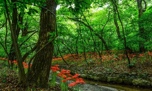 남자가 상사병에 걸리면 생기는 일 증상 10가지_6