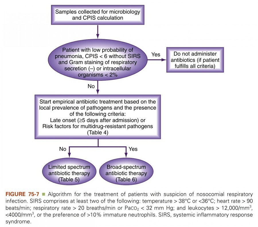 Algorithm for the treatment of patients with suspicion of nosocomial respiratory infection