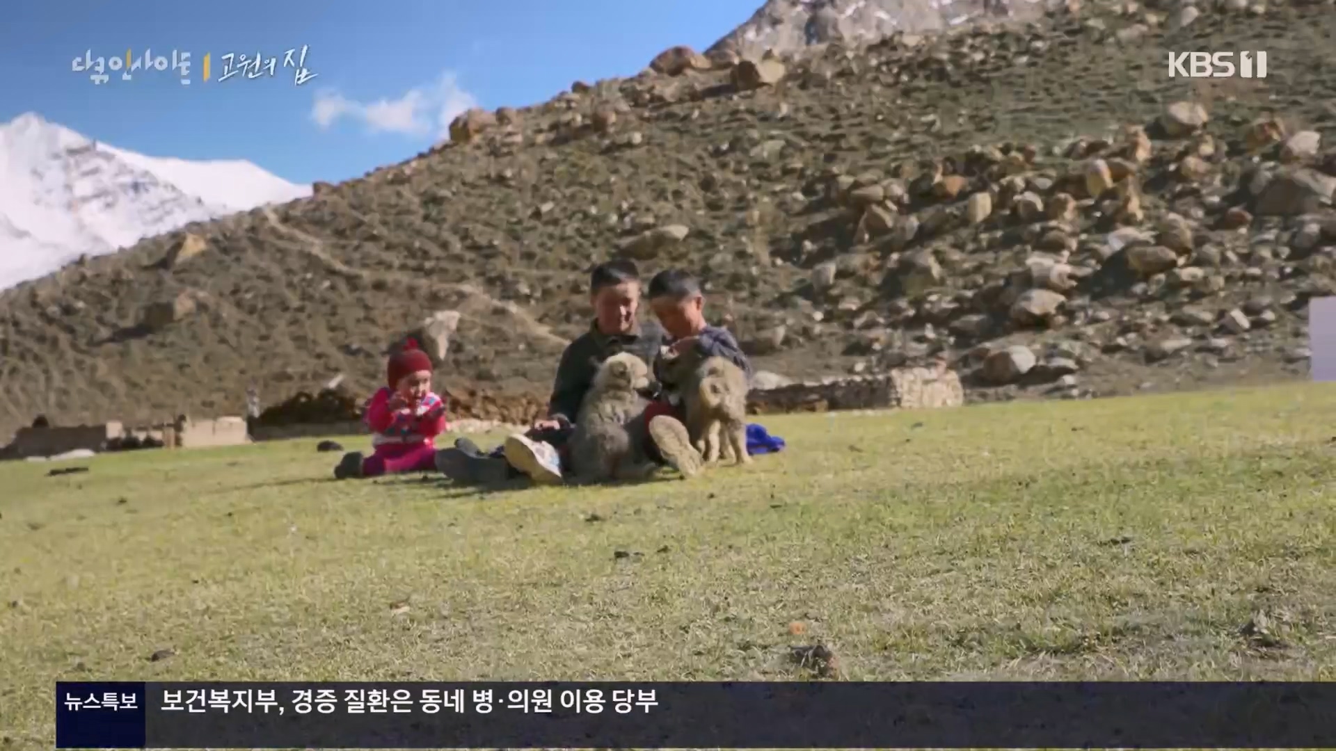 다큐 인사이트.E176.240328p.H264-F1RST.mp4_20240330_162543.390.jpg