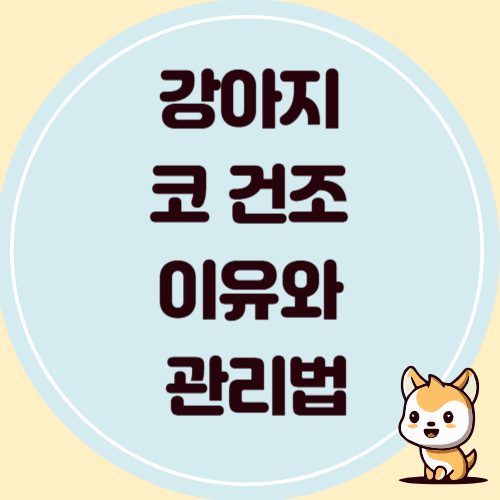 반려견 코 건조 이유와 관리 방법